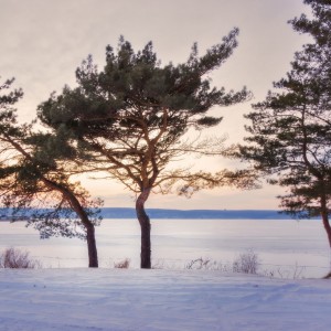 В послезакатной тишине